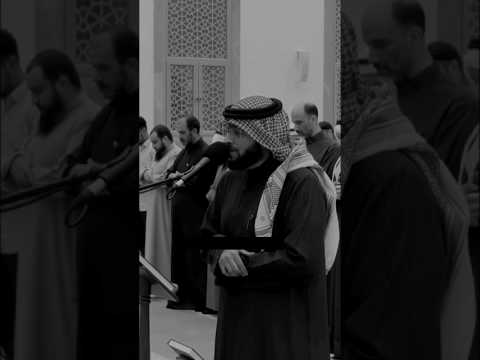 هل جزاء الإحسان إلا الإحسان أحمد النفيس   قرآن قران كريم القرآن الكريم