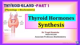 1: Thyroid Hormones synthesis| Thyroid Gland | Physiology + Biochemistry | NJOY Biochemistry