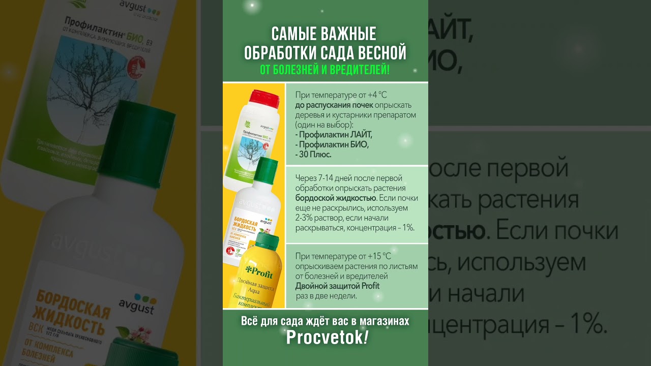 Первые и очень важные обработки сада весной! Не пропустите и будете с урожаем! Сохраняйте в закладки