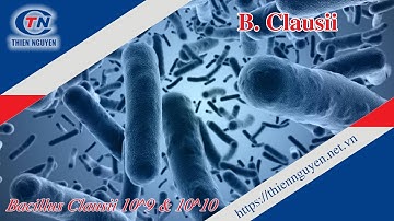 Bacillus Clausii | Nguyên liệu TPCN Thiên Nguyên