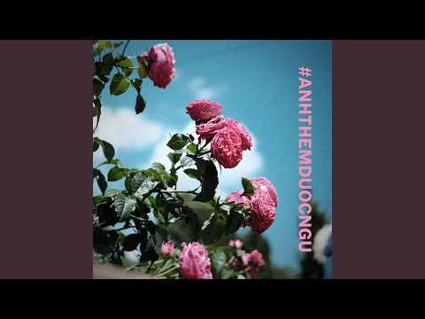 Video anh thèm được ngủ - youtube
