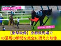 激突の瞬間！京都競馬場で“意図的”な接触か──騎手が落馬した衝撃映像を全公開