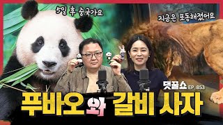 여행 주의보: 홍콩, 일본, 베트남, 파리 | 푸바오 열풍에 서명운동?... 우리나라에만 동물원이 100곳? | KBO리그 개막, 관전 포인트