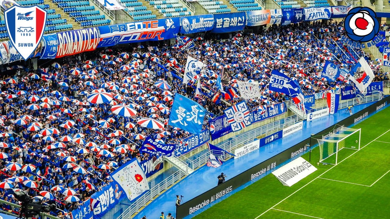 [응원모음] 완벽한 하루ㅣ 수원삼성 vs 천안시티