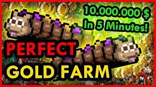 10 MILLION GOLD IN 5 MINUTES!  Fully Optimized GOLD FARM GUIDE!