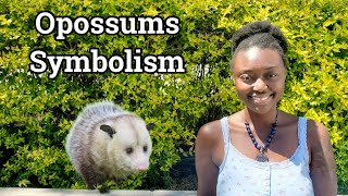 Possum Spirit Animal Totem | Becoming Unavailable by Blooming Wombman LLC, 152 views 3 days ago 29 minutes