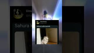 İnstagram - Twitter video #251 #tiktok #twitter #akımı Resimi