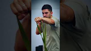 Your nervous system doesn’t care where stress comes from / Promo