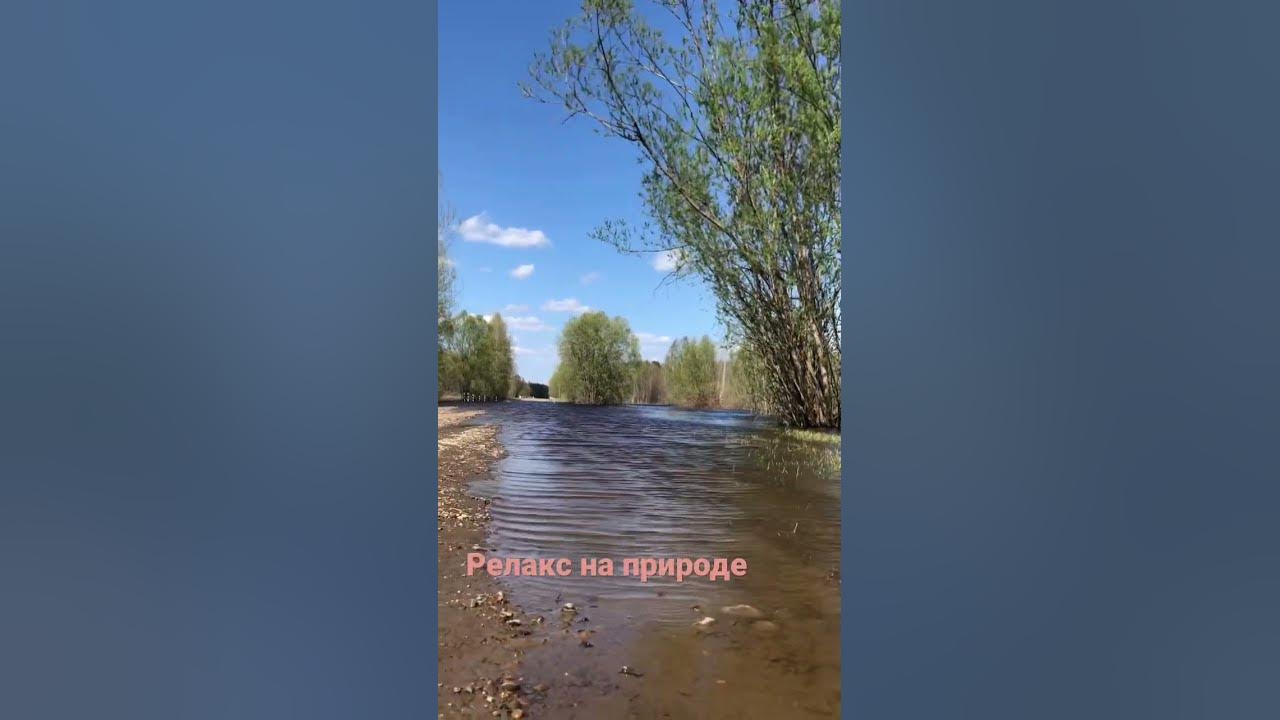 Природа Томской области - YouTube