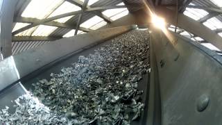 Ist es sinnvoll Aluminium zu recyceln?
