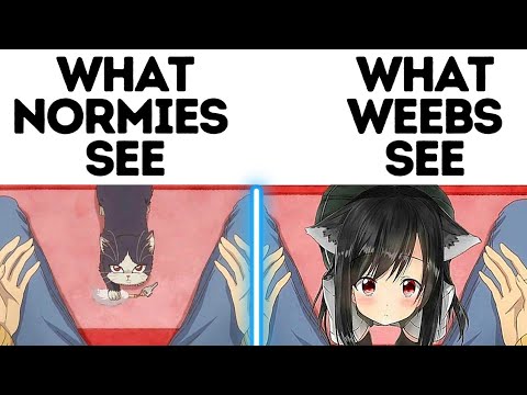 Anime Memes That Can Help Her Find The Pen  Bilibili