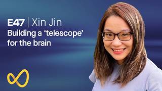Xin Jin: Building a telescope for the brain