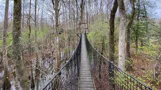 A rainy day at Lynches River County Park in Coward, South Carolina.