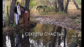 Фильм Учитель. Эпизод Секреты счастья.Авторы Елена Вагнер, Виктор Трофимов.