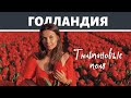 Тюльпановые поля / Амстердам /Нидерланды / Голландия