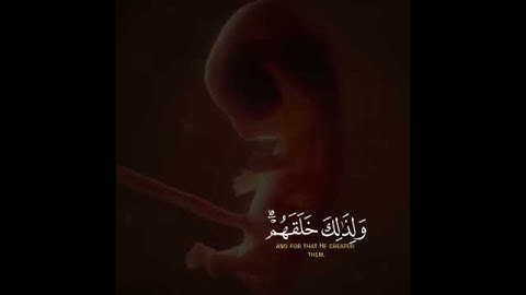 #مقاطع قرآن كريم باصوات رائعه للشيخ اسلام صبحي وما كان ربك ليهلك القري بظلم واهلها مصلحون❤❤❤❤