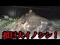 巨大イノシシ？ホグジラとは