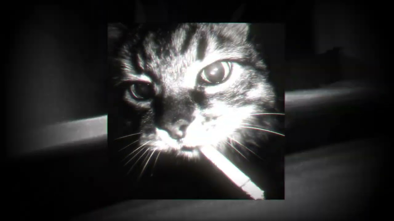 [Unaverage Gang X scarlxrd X takizava] Necro phonk Trap beat "nasral pod dveri"