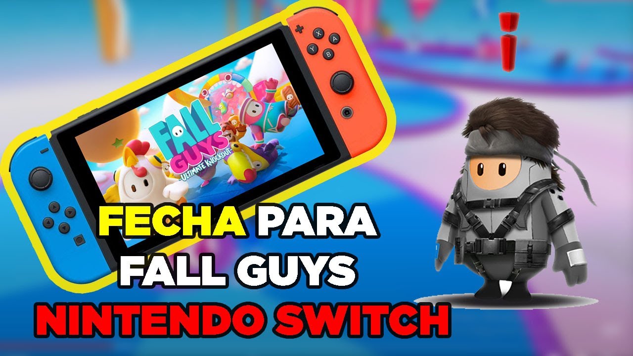 fall guys switch controller fall guys switch controller