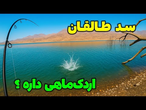 سد طالقان اردک ماهی داره