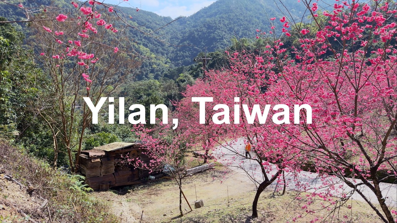 Yilan, Taiwan | 宜蘭山櫻花開。新年燈飾。海邊咖啡比薩 | 4K