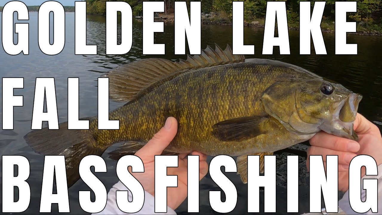 How to catch fall smallmouth bass