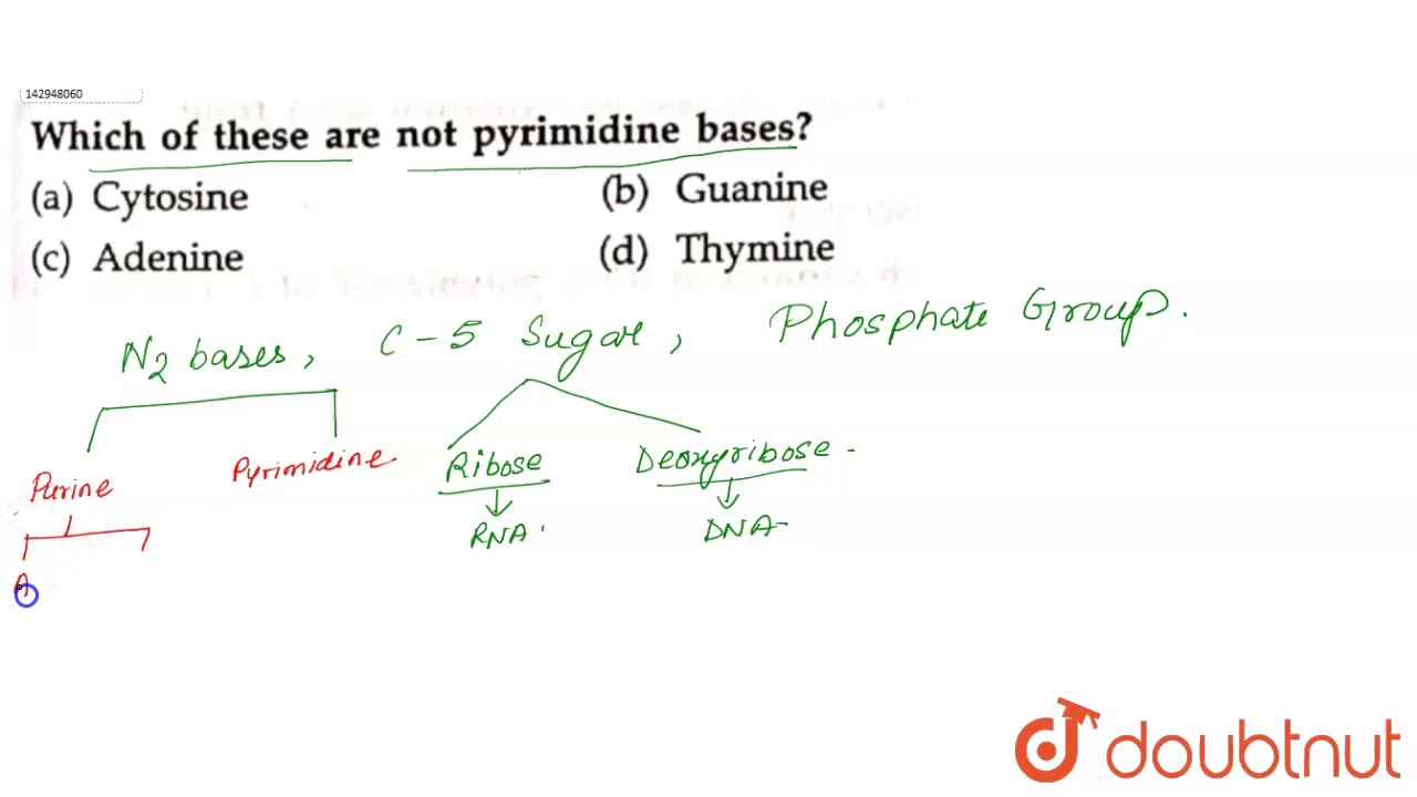 Which Of These Are Not Pyrimidine Bases? - Youtube Which Of These Are Not Pyrimidine Bases? - Youtube