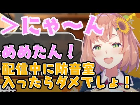 配信中にほんひまの飼い猫が防音室に入ってきてしまう【本間ひまわり/にじさんじ】
