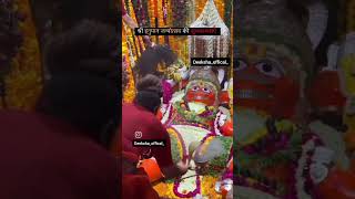 श्री हनुमान जन्मोत्सव?hanumanjayanti hanumanshortsviral trendingshorts shortssangum prayagraj