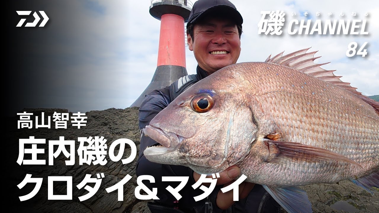 高山智幸「庄内磯のクロダイ&マダイ」｜第84回 磯ちゃんねる