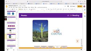 Module 8 Lesson 14