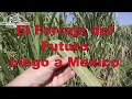 El Forraje  del Futuro Llega a México a Linares NL