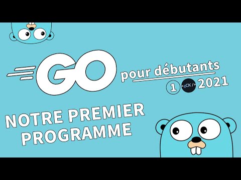 Vidéo: Comment exécuter un programme Golang ?