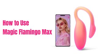 How to Use Magic Flamingo Max screenshot 1