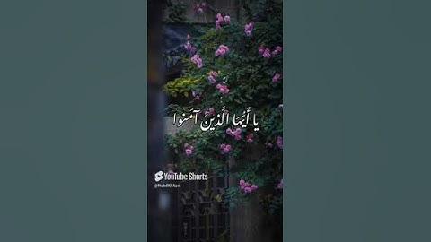 "لحظات خشوع مع تلاوة الشيخ المنشاوي | قرآن يملأ القلب بالسكينة"