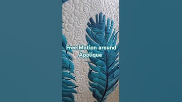 Free Motion Quilting Around Applique 🦜