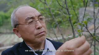 Case Study | Huawei Smart Modular DC Solutions Pave a Digital Road for Gansu's Transportation