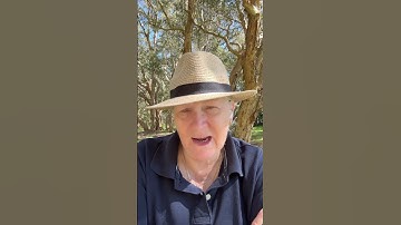 Delegating and the Project Manager #delegatetasks #projectmanagement #multirole