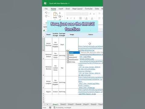 ️ How to add Image in Excel using IMAGE function #excel #tutorial # ...