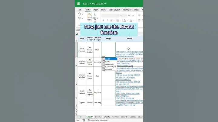 ➡️ How to add Image in Excel using IMAGE function #excel #tutorial #exceltips