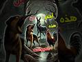 أصوات لا تتجاهلها أبد ا إذا سمعتها فافعل هذا فور ا أصوات لا تتجاهلها أبد ا إذا سمعتها فافعل هذا فور ا