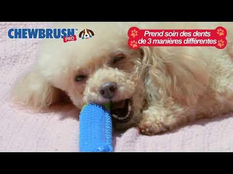 Jouet Chien Caoutchouc Naturel : Hygiène Dentaire Optimale!