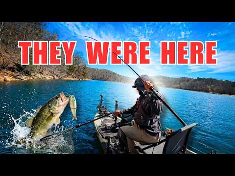 Kayak Fishing for GIANT Largemouth in Lake Lanier!
