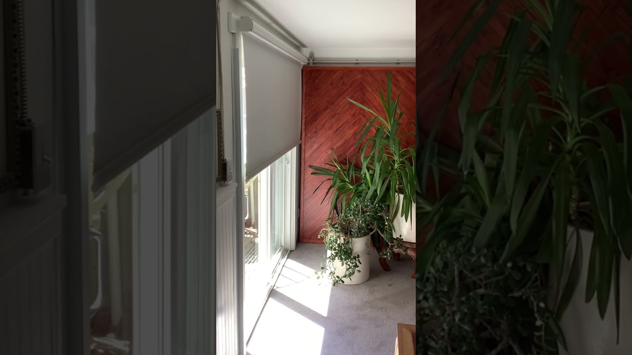 Kincmo | Blackout Smart Roller Shade Hot Sale 