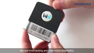 WanWayTech OBD Tracker GS21 GPS Installation in Car
