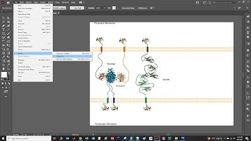 How to save pdf and image files in Adobe Illustrator