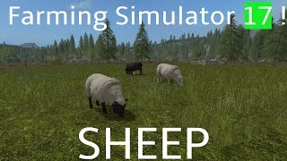 Farming Simulator 17! Sheep! Breeding, Cleanliness, What they eat,  How to water, and Wool!