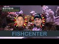 Fishcenter  tim heidecker and gregg turkington june 21 2016
