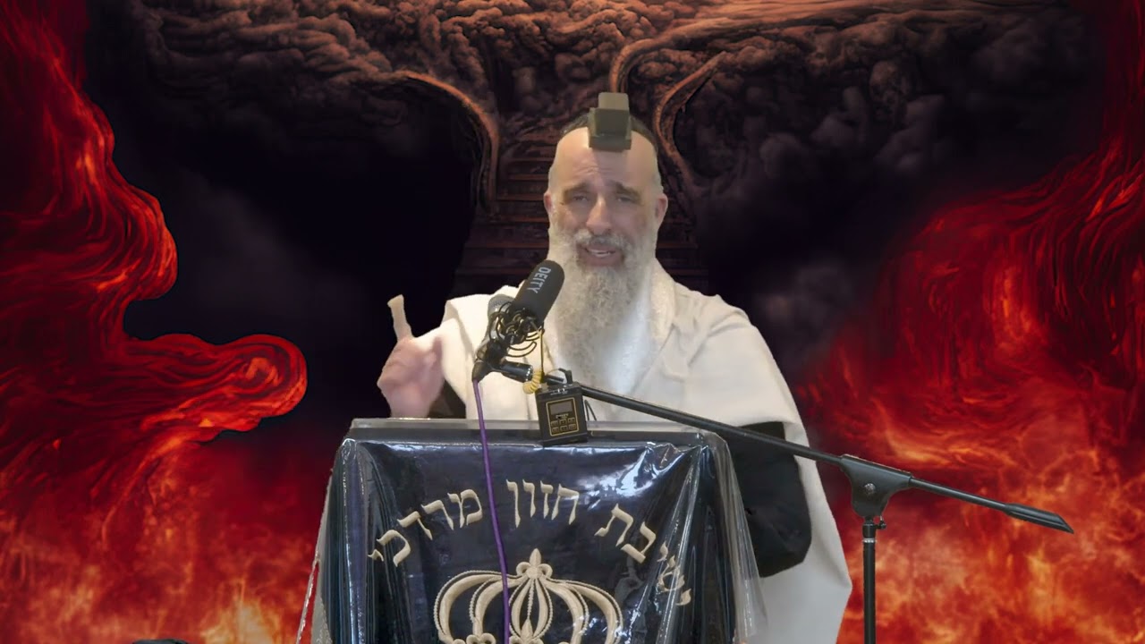 הרב מאיר דוד שמואלי - איך לתקן מזיקים שבראנו