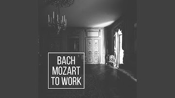 String Quartet No. 6 in B-Flat Major, K. 159: II. Allegro assai